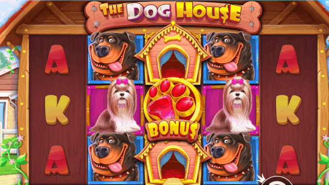 The Dog House Köpek Kulübesinden Gelen Zenginlik